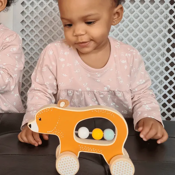 Bigjigs Toys FSC® Certified Push Along Bear