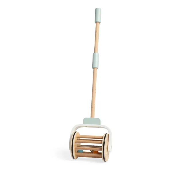 Bigjigs Toys FSC® Certified Push Along Musical Roller