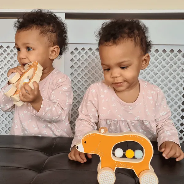 Bigjigs Toys FSC® Certified Push Along Bear