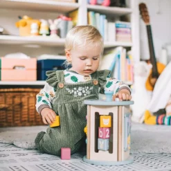 Bigjigs Toys FSC® Certified Rolling Activity Sorter