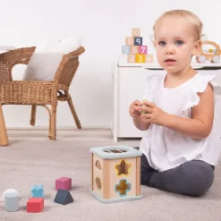 Bigjigs Toys FSC® Certified Shape Sorter