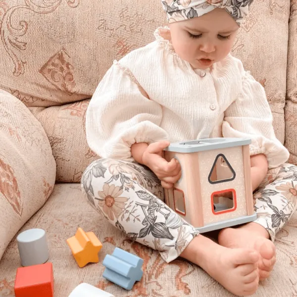 Bigjigs Toys FSC® Certified Shape Sorter