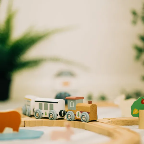 Bigjigs Toys FSC® Certified Train Set (Woodland Animal)