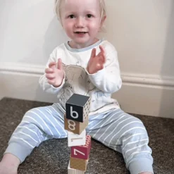 Bigjigs Toys FSC® Certified Wooden Number Blocks