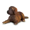 CollectA Great Dane Puppy