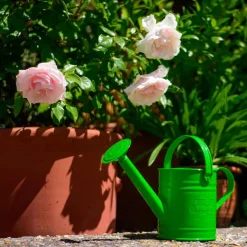 Bigjigs Toys Green Watering Can