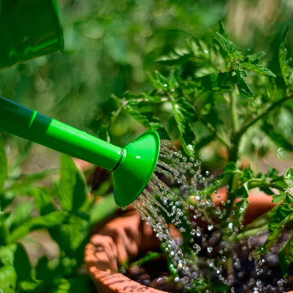 Bigjigs Toys Green Watering Can