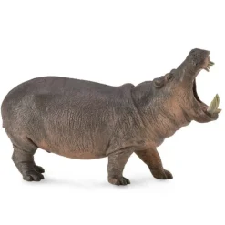 CollectA Hippopotamus