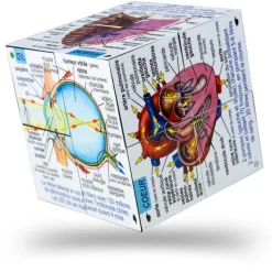 ZooBooKoo Human Body Systems and Statistics Cubebook