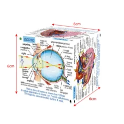 ZooBooKoo Human Body Systems and Statistics Cubebook