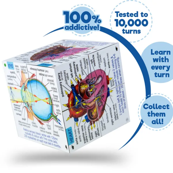 ZooBooKoo Human Body Systems and Statistics Cubebook