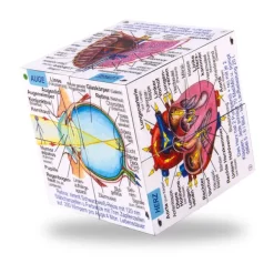 ZooBooKoo Human Body Systems and Statistics Cubebook