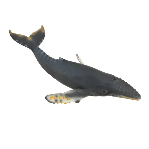 CollectA Humpback Whale