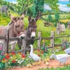 House of Puzzles Jack & Jenny - BIG 250 Piece Jigsaw Puzzle