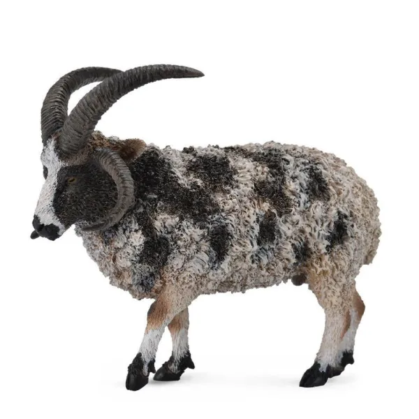 CollectA Jacob Sheep