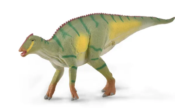 CollectA Kamuysaurus