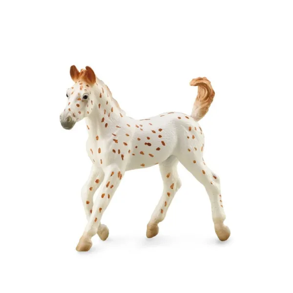 CollectA Knabstrupper Foal - Leopard Spotted