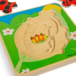 Bigjigs Toys Lifecycle Layer Puzzle - Ladybug