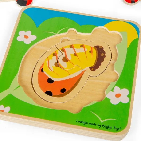 Bigjigs Toys Lifecycle Layer Puzzle - Ladybug