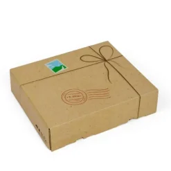 Bigjigs Toys Mail Carrier Dress Up - DAMAGED BOX