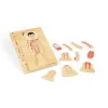 Bigjigs Toys Male Human Anatomy Puzzle