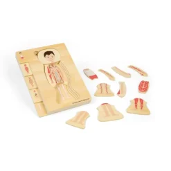 Bigjigs Toys Male Human Anatomy Puzzle