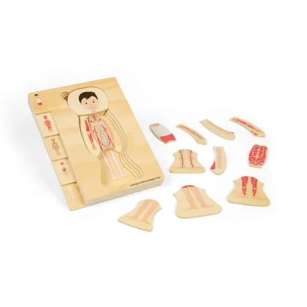 Bigjigs Toys Male Human Anatomy Puzzle