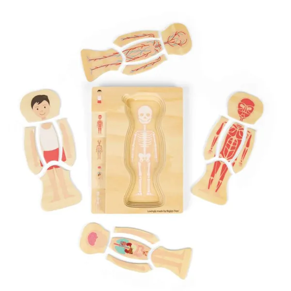 Bigjigs Toys Male Human Anatomy Puzzle