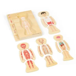 Bigjigs Toys Male Human Anatomy Puzzle