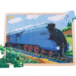 Bigjigs Toys Mallard Tray Puzzle (35 Pieces)