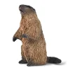 CollectA Marmot