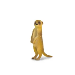 CollectA Meerkat Standing