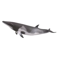 CollectA Minke Whale