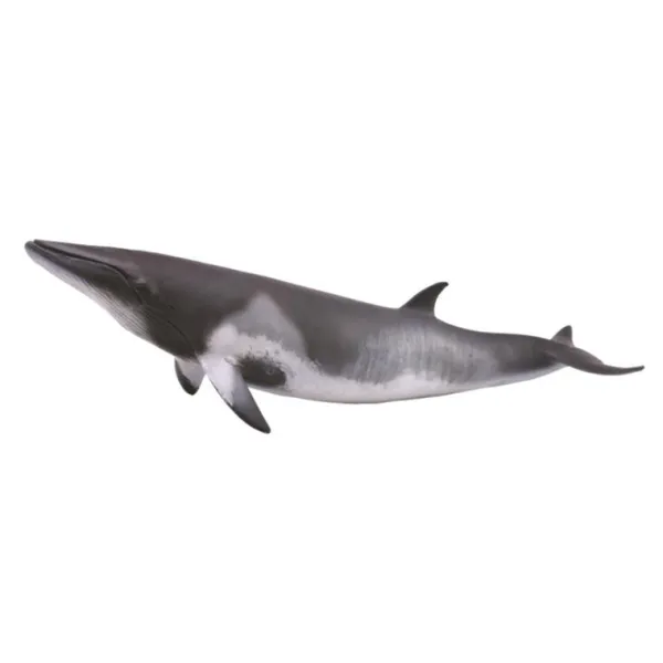 CollectA Minke Whale
