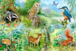 House of Puzzles Nature Study - BIG 250 Piece Jigsaw Puzzle