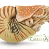 CollectA Nautilus Pompilius