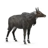 CollectA Nilgai