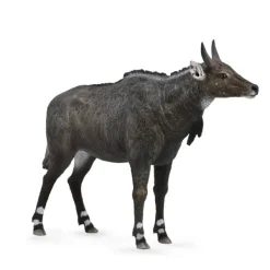 CollectA Nilgai