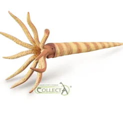 CollectA Orthoceras