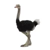CollectA Ostrich