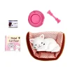 Lottie Pandora the Persian Cat