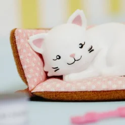 Lottie Pandora the Persian Cat