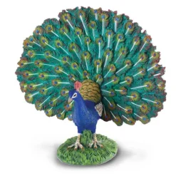 CollectA Peacock