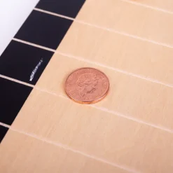 Bigjigs Toys Penny Push