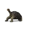 CollectA Pinta Island Tortoise In Memory Of Lonesome George