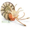 CollectA Pleuroceras Ammonite