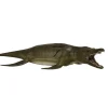 CollectA Pliosaurus 1:40 (Deluxe)