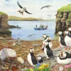 House of Puzzles Puffin Parade - BIG 500 Piece Jigsaw Puzzle