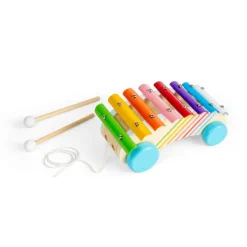 Bigjigs Toys Pull Along Xylophone