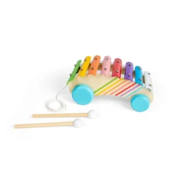 Bigjigs Toys Pull Along Xylophone